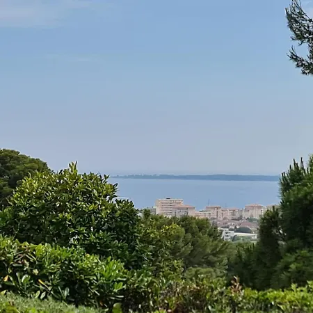 Provencal 7-Bedroom Villa In Antibes Juan Les Pins Βίλα *